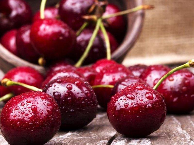 Вишня купить саженцы из питомника в Старом Осколе